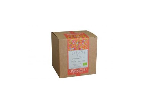 Tisane printanière bio - boîte de 20 sachets