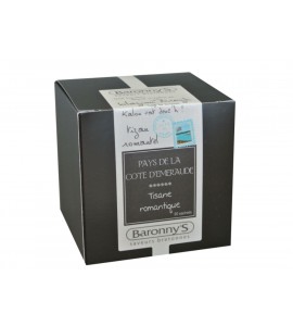 Tisane pays de la Côte d'émeraude - boîte de 20 sachets