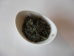 Sencha