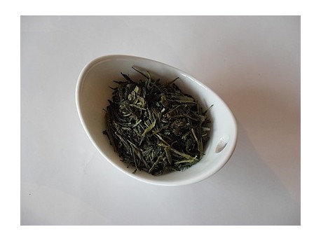 Sencha